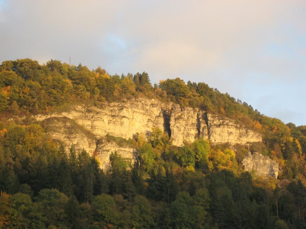Gaestehaus Krone Oberndorf am Neckar 部屋 写真