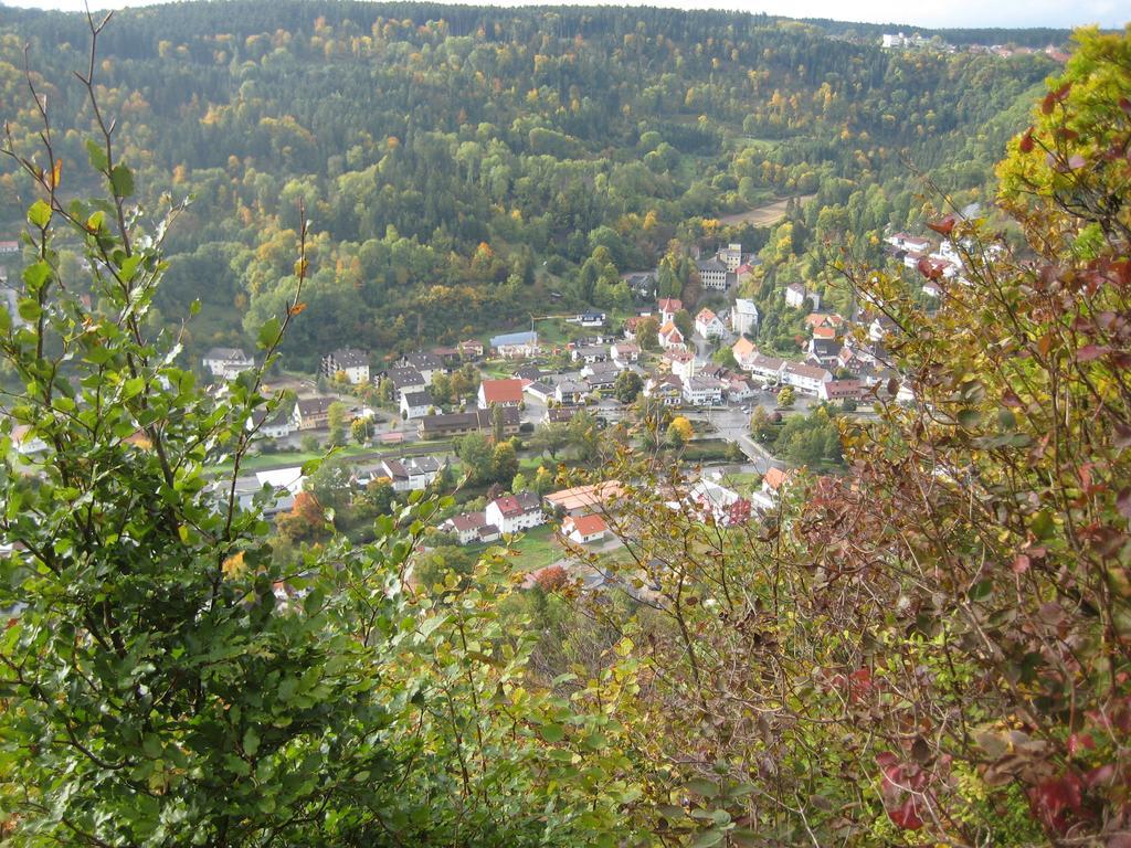 Gaestehaus Krone Oberndorf am Neckar 部屋 写真